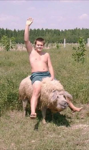 share_3897215439816744835